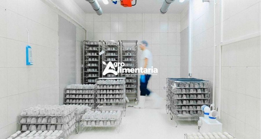 Los sistemas no se prueban en días normales, se ponen a prueba en días extremos