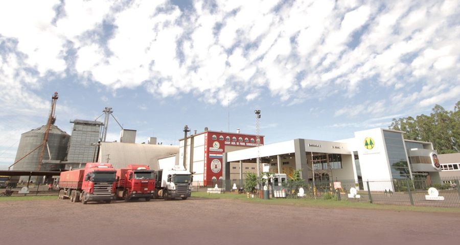 Cooperativa Sommerfeld y sus Productos Sol Blanca: Un Legado de Calidad y Compromiso